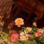 Lithos Guest house Kalambaka