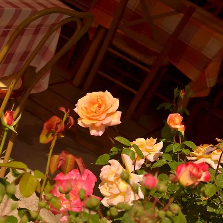 Lithos 게스트하우스 칼람파카